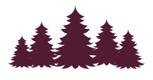 pinos bosque